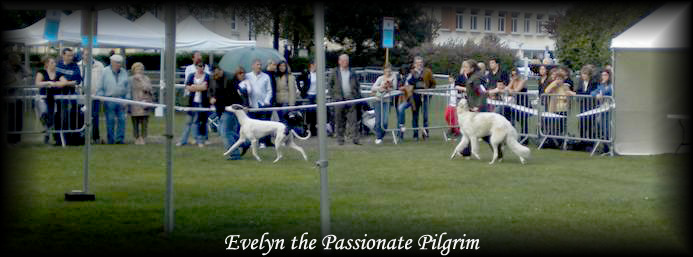 Evelyn The Passionate Pilgrim