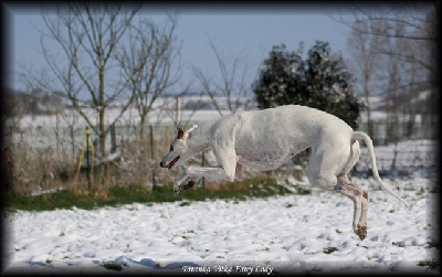 The Passionate Pilgrim - 09/03/10 Le saut de Farik